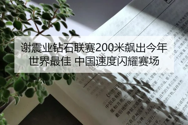 谢震业钻石联赛200米飙出今年世界最佳 中国速度闪耀赛场